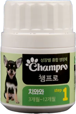 Champro 치와와 step 1