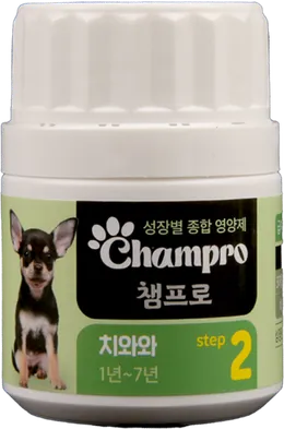 Champro 치와와 step 2