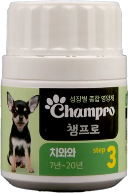 Champro 치와와 step 3